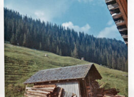 004 - s jägerhüsli bim wald